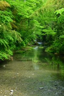 写真:マイナスイオン北浅川
