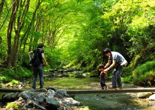 写真:渡れるかな