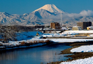 写真:雪の朝に輝く