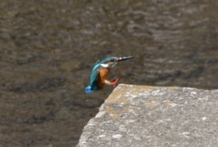 写真:ただ今着地