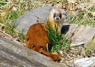 写真:浅川キティ