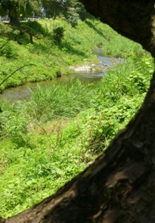 写真:木のフレーム