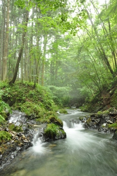 写真:最優秀作品
