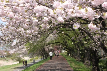 写真:優秀作品1