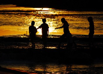 写真:優秀作品2