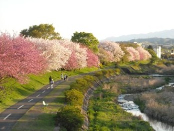 写真:佳作作品2