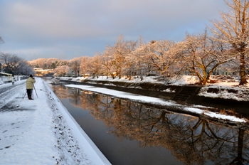 写真:佳作作品4