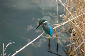 写真:佳作作品6