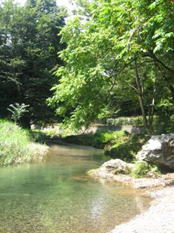 写真:優秀作品2