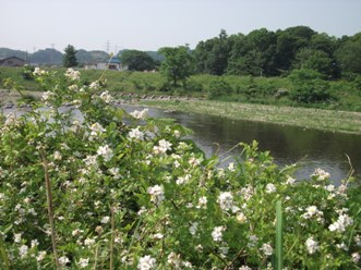 写真:日野市長賞作品