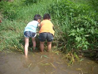 写真:佳作作品2