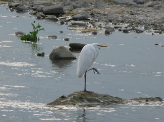 写真:佳作作品3