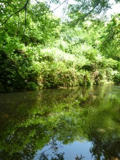 写真:佳作作品4