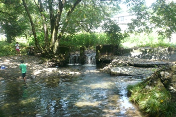 写真:佳作作品6