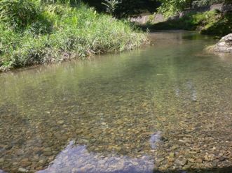 写真:佳作作品7