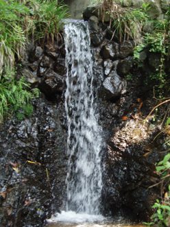 写真:佳作作品9