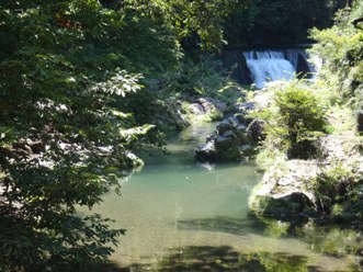 写真:佳作作品10