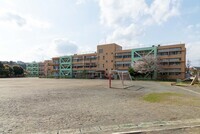 学校写真