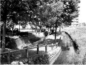 水辺を生かすまちづくり(平山東公園)の写真