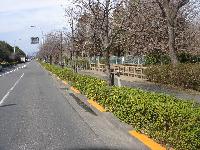 写真:仲田公園と都計道3・4・8号線