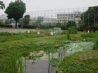 写真:平成28年度日野市優良請負者