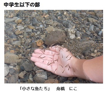 写真:中学生以下の部 「小さな魚たち」 舟橋 にこさんの作品