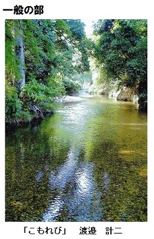 写真:一般の部 「こもれび」 渡邉 計二さんの作品