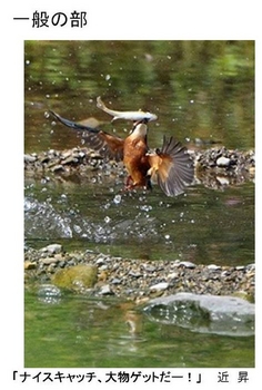 写真:一般の部 「ナイスキャッチ、大物ゲットだー!」 近 昇さんの作品