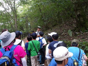 写真:自然散策の様子