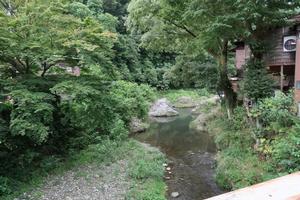 写真:自然豊かな浅川