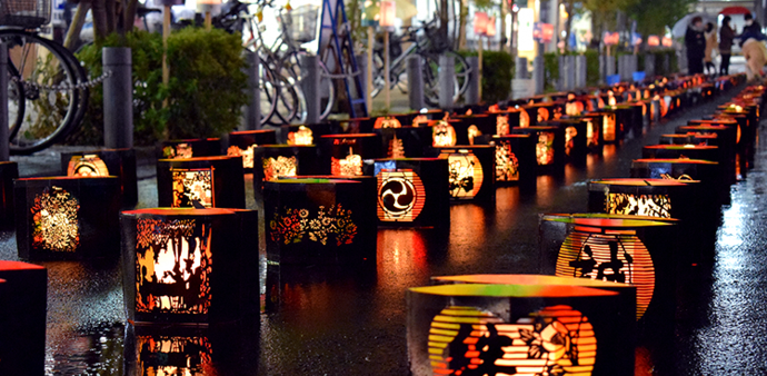 写真:エレガントな夢灯り