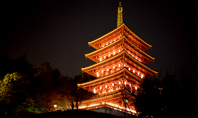 写真:灯りで照らされた五重塔