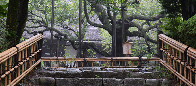 写真:京王百草園