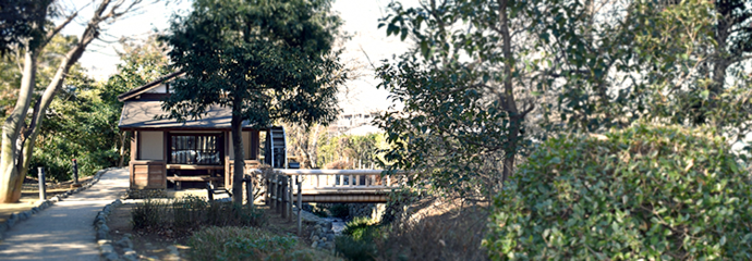 写真:木々の隙間に見える向島用水親水路
