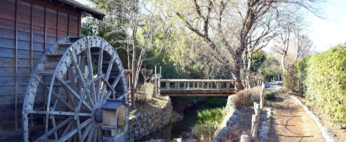 写真:散策路の横にある木でできた水車