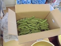 写真:皮をむく前のそら豆