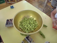 写真:こんなに剥けたよ