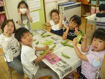 写真：そらまめをむいたよ