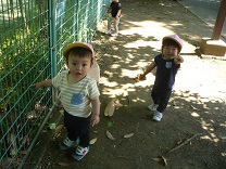 写真：葉っぱ見つけたよ