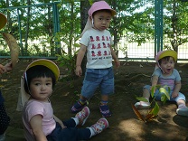 写真：木が生えてるよ