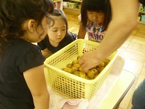 写真：カレーパーティー