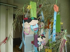 七夕制作2歳写真