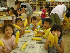 トウモロコシの皮むき写真