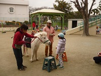 4歳児ぞう組が人参をあげている様子