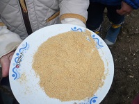 きな粉完成の写真