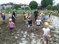 田んぼの中を走っている写真