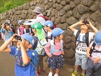 写真：双眼鏡を使って