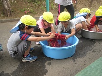 写真：水洗い
