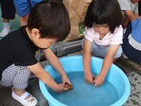 3歳児こあら組がジャガイモを洗っている写真