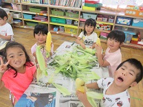 写真：トウモロコシを持っている